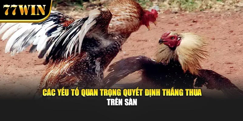 Các yếu tố quan trọng quyết định thắng thua trên sàn
