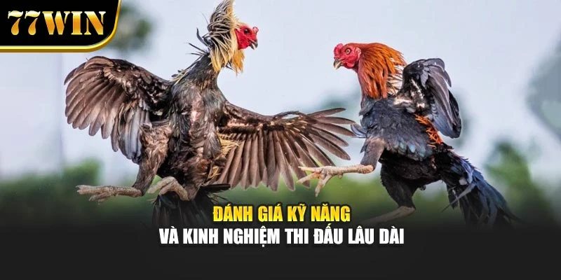 Đánh giá kỹ năng và kinh nghiệm thi đấu lâu dài