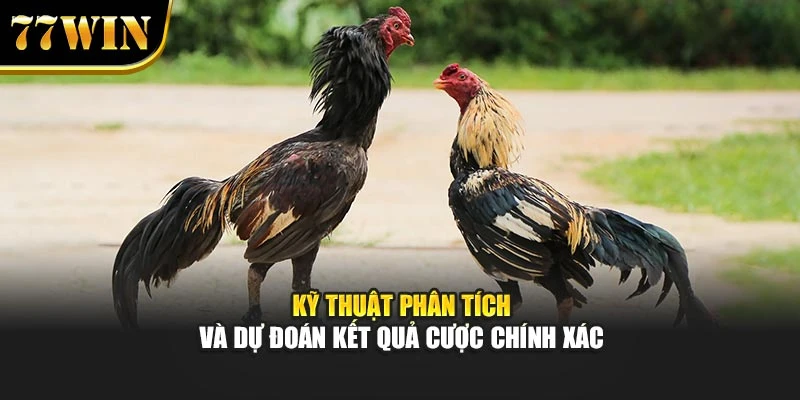 Kỹ thuật phân tích và dự đoán kết quả cược chính xác