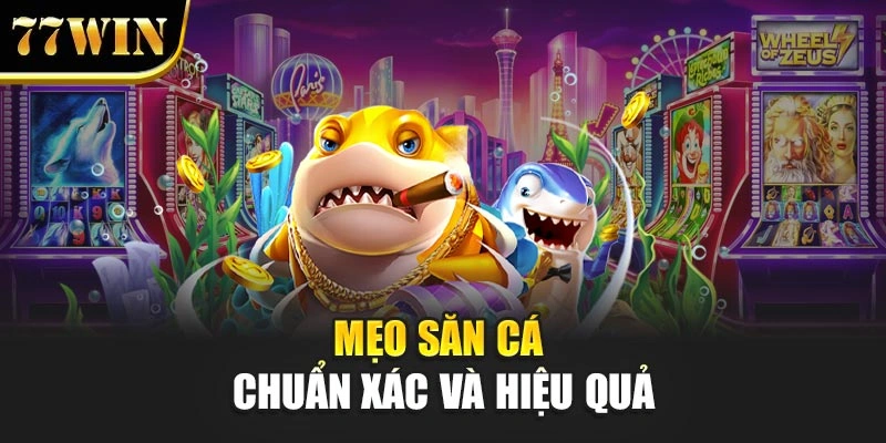 Mẹo săn cá chuẩn xác và hiệu quả