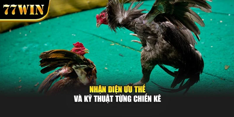 Nhận diện ưu thế và kỹ thuật từng chiến kê