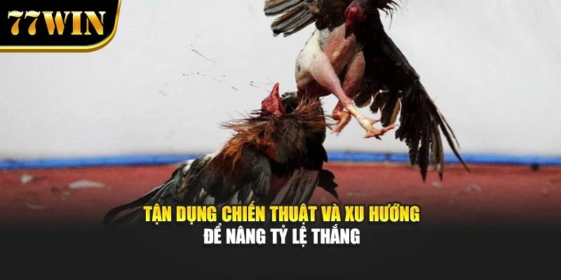 Tận dụng chiến thuật và xu hướng để nâng tỷ lệ thắng