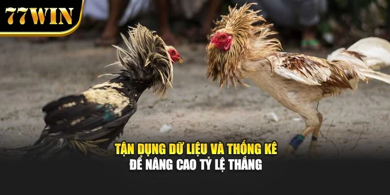 Tận dụng dữ liệu và thống kê để nâng cao tỷ lệ thắng