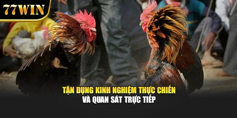 Tận dụng kinh nghiệm thực chiến và quan sát trực tiếp